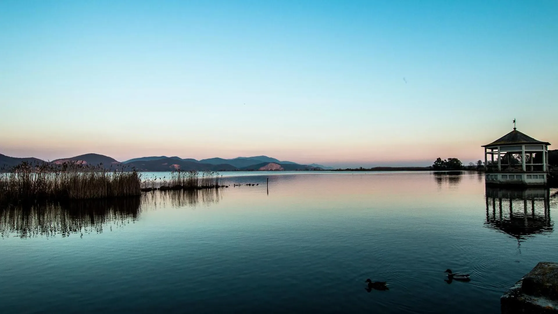 Hotel Butterfly Torre del Lago Puccini Italien