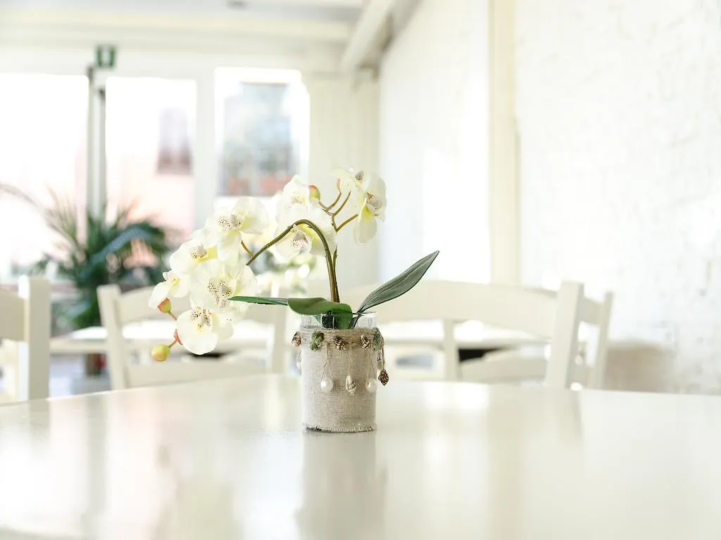 Hotel Butterfly Torre del Lago Puccini 3*,