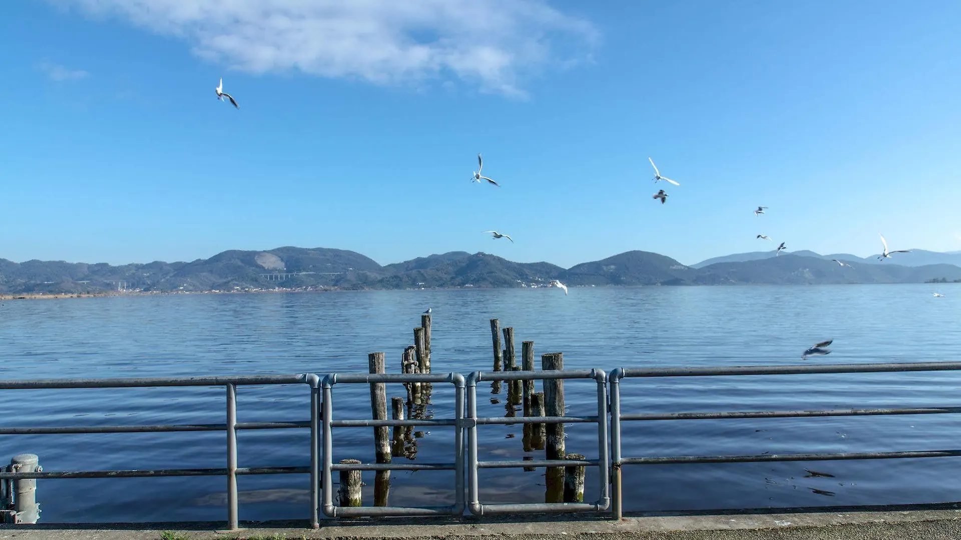 Hotel Butterfly Torre del Lago Puccini